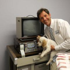 "Its time for your hearing BAER test!" English Setter Puppies from Finlauson's Pet Care Center and Granite State Service Dogs