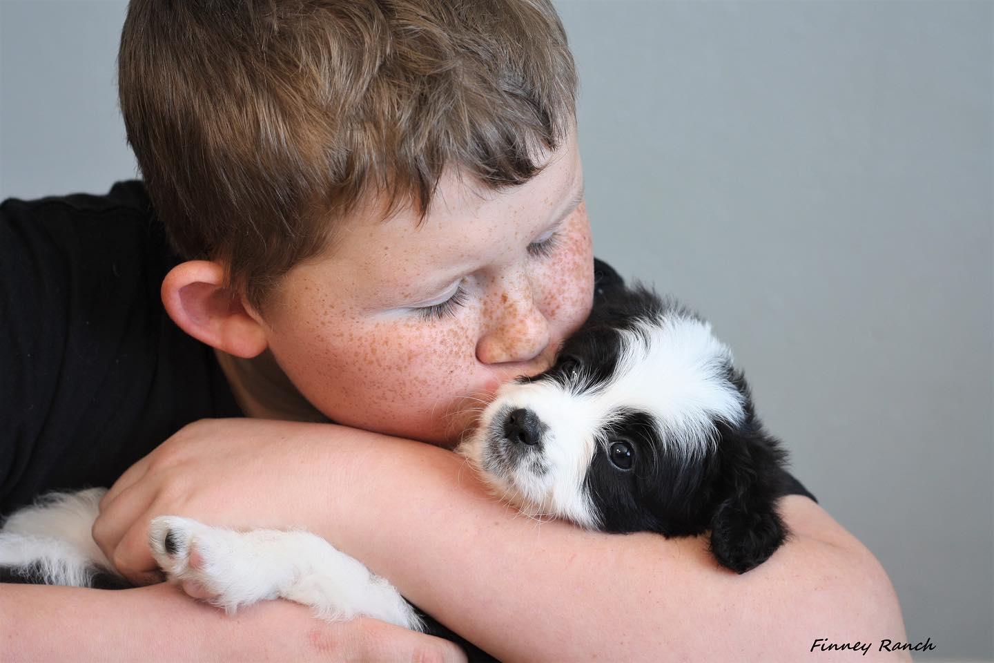 Finney Ranch in Minnesota | Aussiedoodle puppies | Good Dog