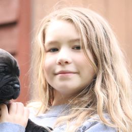 Boerboel Puppies from Northland Boerboels