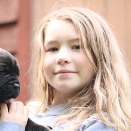 Boerboel Puppies from Northland Boerboels