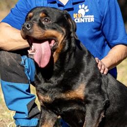 German Shepherds and Rottweilers from El Dorado