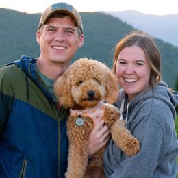 Goldendoodles from Circle City Pups