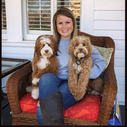 Australian Labradoodle, Bernedoodle, and Goldendoodle All Grown Up from Silver Creek Doodles