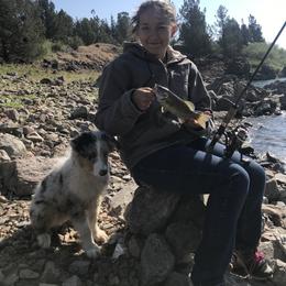 Australian Shepherd Puppies from Storybrooke Australian Shepherds