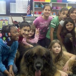 Leonberger All Grown Up from Ex Animo Leonbergers and WHD