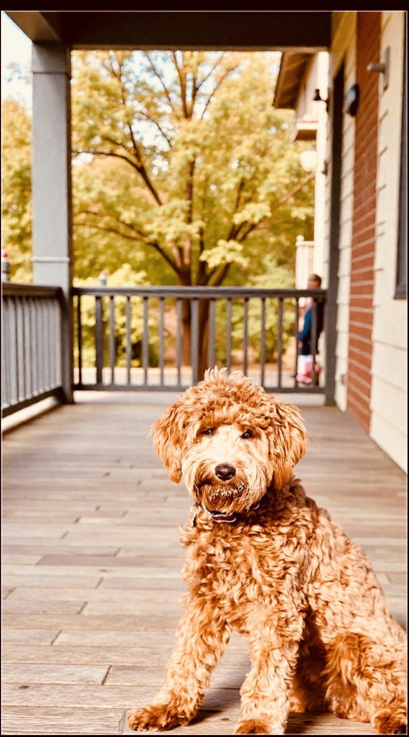 Nellie