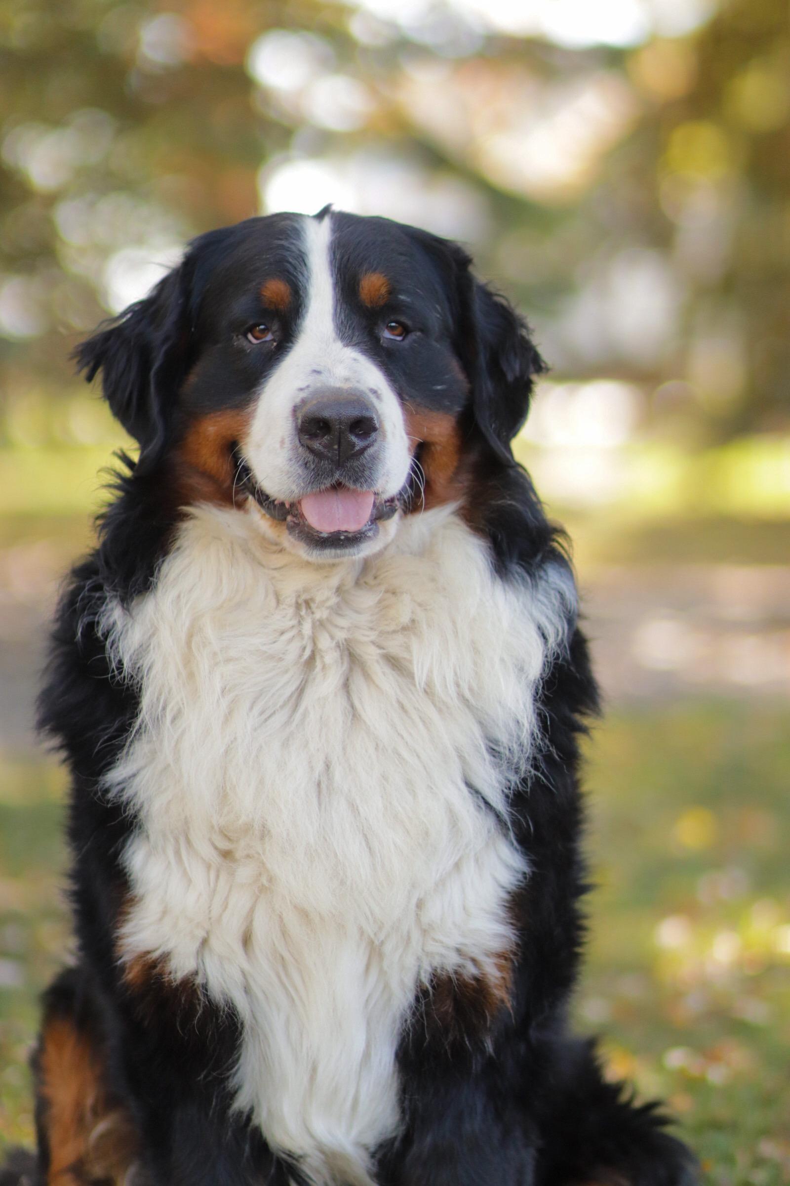 Max
