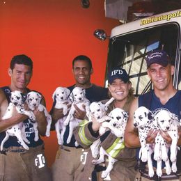 Dalmatian Puppies from Matchless Dalmatians