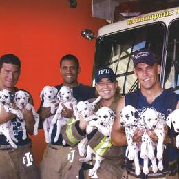 Dalmatian Puppies from Matchless Dalmatians