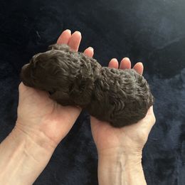 Boy 1 - Brown male Poodle puppy in Blanchard, Oklahoma from Teresa’s Fur Babies
