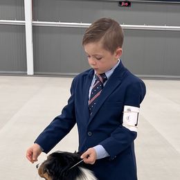 Australian Shepherd All Grown Up from Kade’s Stock Dogs