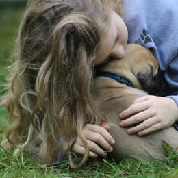 Boerboel Puppies from Northland Boerboels