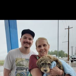 Aussiedoodle, Bernedoodle, and Poodle Puppies from Color Country Doodles