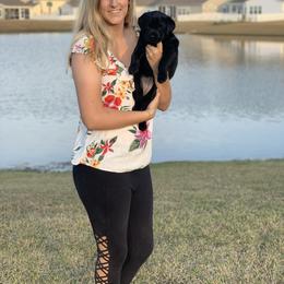 Labrador Retriever Puppies from Savannah Bluff Retrievers