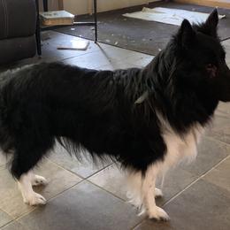 Lily - TBD