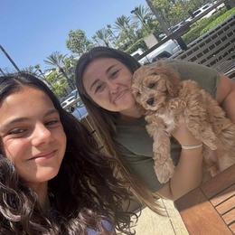 Cavapoo Puppies from WW Cavapoos