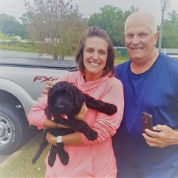 Goldendoodle Puppies from South Paw Doodles