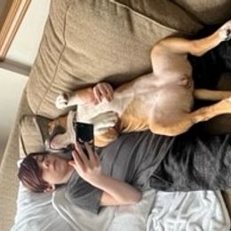 American Bully Puppies from Shooting Star Bullies