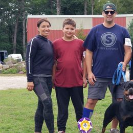 Rottweilers from Von Turm Hügel Rottweilers