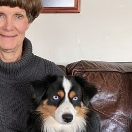 Miniature Australian Shepherds and Toy Australian Shepherds from Sonlight Ridge Aussies