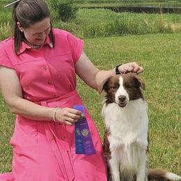 Ruby - Border Collie