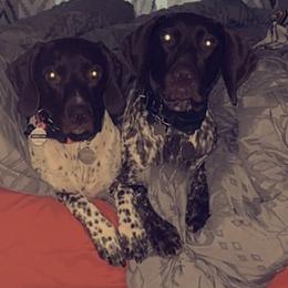 German Shorthaired Pointers from Brianna Potts White