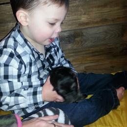 German Shepherd Puppies from Countryside Kennel