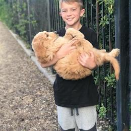 Goldendoodle Puppies from Penny Doodles