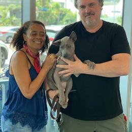 Thai Ridgeback Puppies from Topking Thai Ridgeback Dogs