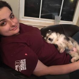 Alaskan Malamute Puppies from Strong Water Malamutes