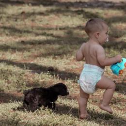 American Bully, Bernedoodle, Poodle, Sheepadoodle, and Whoodle Puppies from Wonderland’s Boujie Kennels