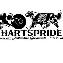 Australian Shepherds from Hartspride Australian Shepherds
