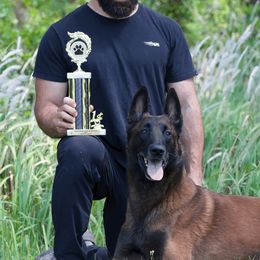 Yeti - Belgian Malinois
