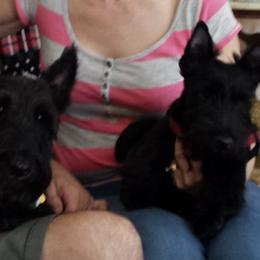 Scottish Terriers from Misty Highlands