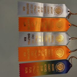 English Springer Spaniel All Grown Up from Llewellyn Farms English Springer Spaniels