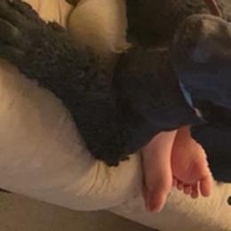 Venom - Poodle