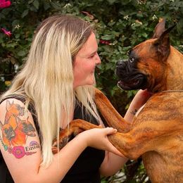 Boxers from Bridlewood Boxers