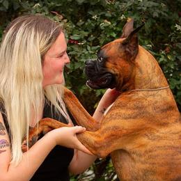 Boxers from Bridlewood Boxers