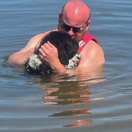 Newfoundland Puppies from K & L Ranch