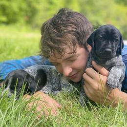 German Shorthaired Pointer Puppies from Thunder Mountain Gun Dogs