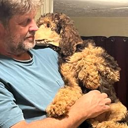 Margot Robbie - Phantom female Poodle puppy in Mount Gilead, Ohio from Cats Creek Standard Poodles