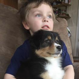 Australian Shepherd Puppies from Diamond Hill Australian Shepherds