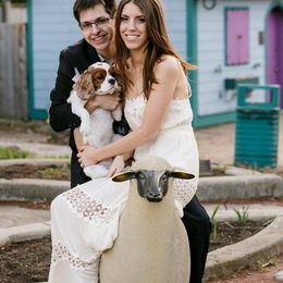 Cavalier King Charles Spaniel All Grown Up from Phoenix Cavaliers - Cavalier King Charles Spaniels