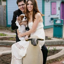 Cavalier King Charles Spaniel All Grown Up from Phoenix Cavaliers - Cavalier King Charles Spaniels
