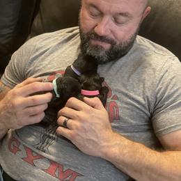 Scottish Terrier Puppies from Heart of America Scotties