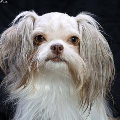 RosaLee - Mi-Ki