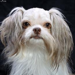 RosaLee - Mi-Ki
