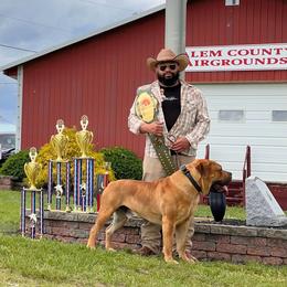 ColdRiver’s “ACE” Sun WuKong - Boerboel