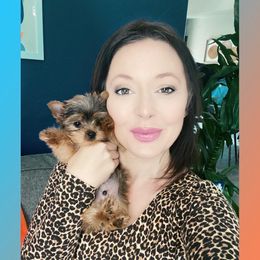 Pomeranian and Yorkshire Terrier Puppies from Chasing Rainbows Yorkies