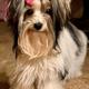 Bella Import Ukraine